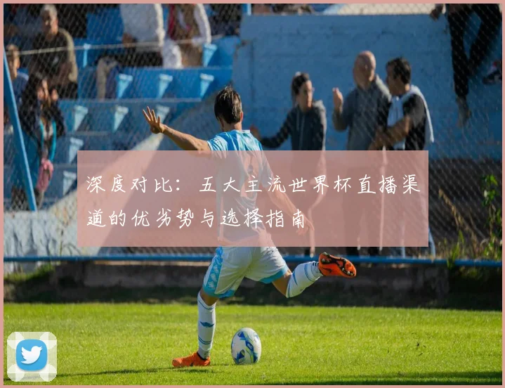 深度对比：五大主流世界杯直播渠道的优劣势与选择指南